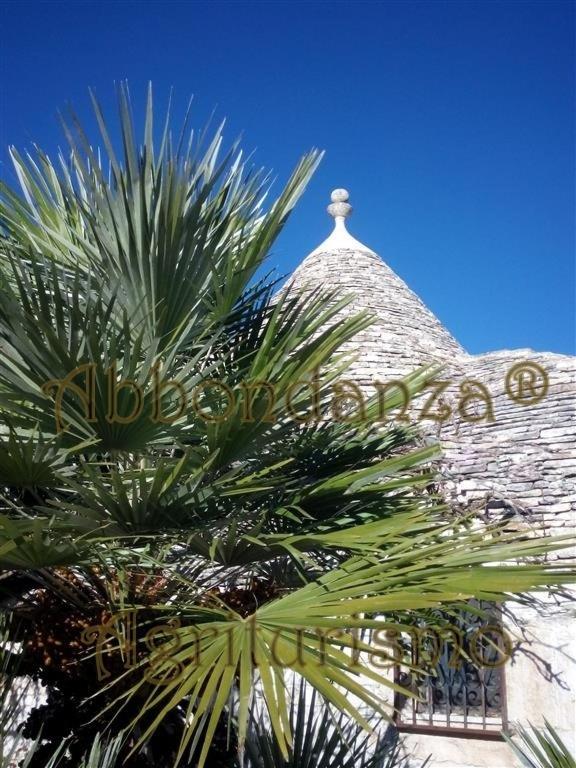 Agriturismo Abbondanza Villa Alberobello Exterior photo