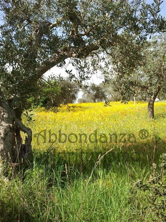 Agriturismo Abbondanza Villa Alberobello Exterior photo
