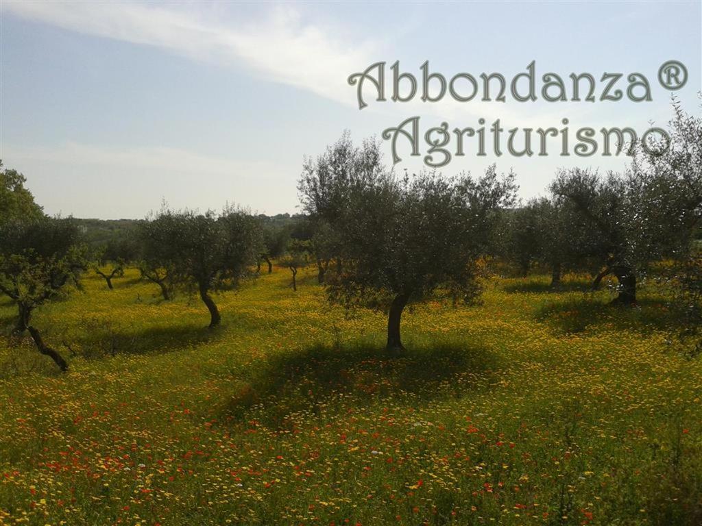Agriturismo Abbondanza Villa Alberobello Exterior photo